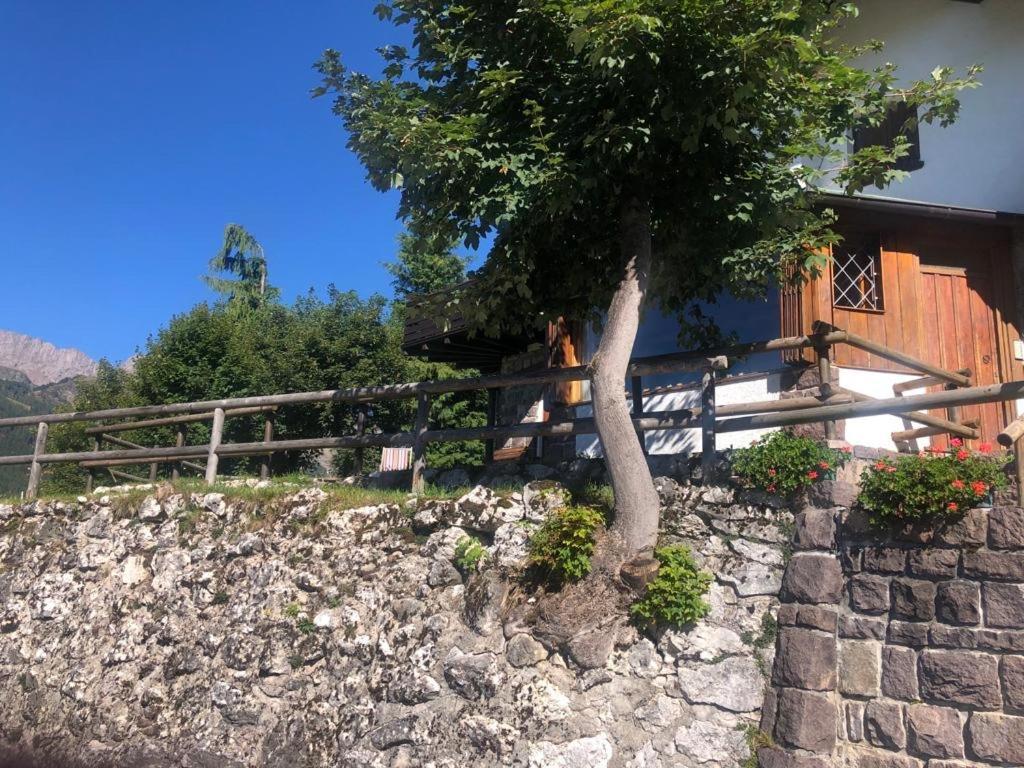 Casa Loria - Appartamento Con Giardino Sankt Martin am Sismunthbach Exterior foto